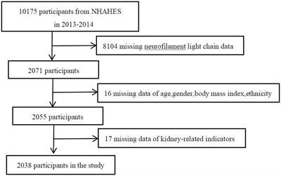 Negative association of serum neurofilament light chain with estimated glomerular filtration rate levels and the impact of gender